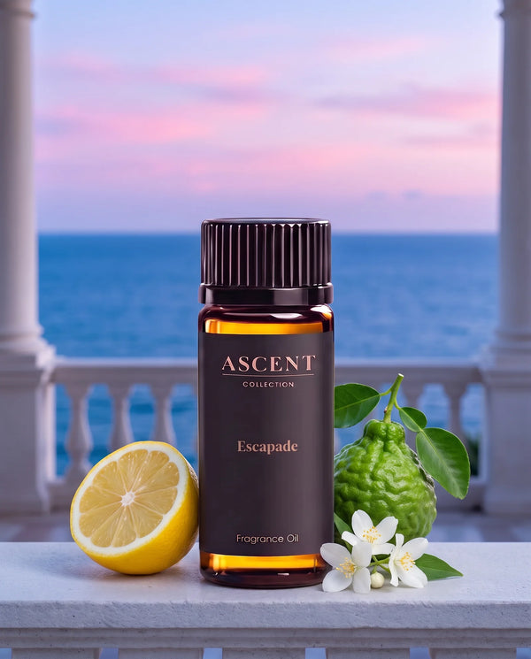 Escapade fragrance oil by Ascent Collection in a luxury hotel setting with lemon, bergamot and jasmine